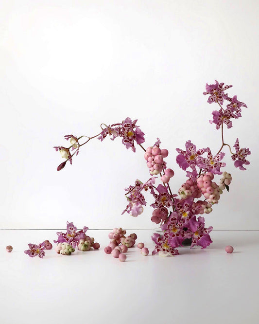 Zelenkocidium Hwuluduen 紅寶石‘Shirley’