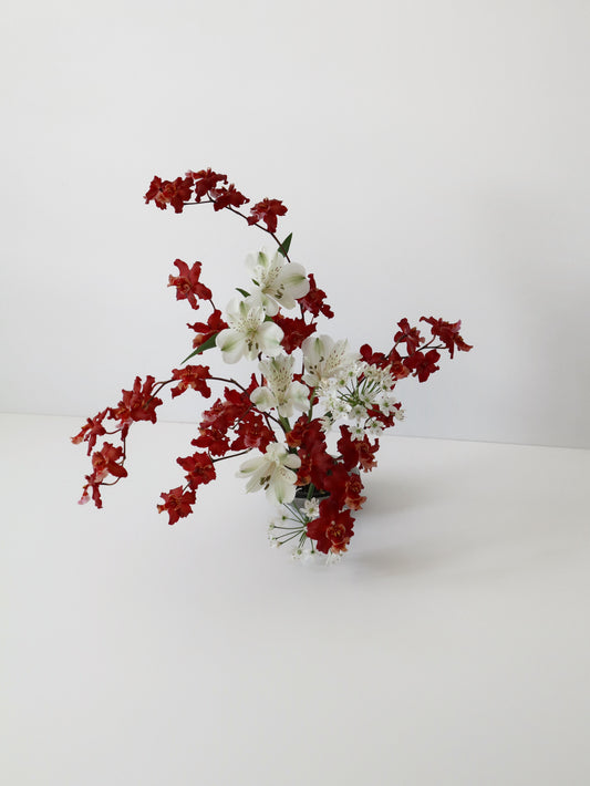 文心蘭‘爆竹’