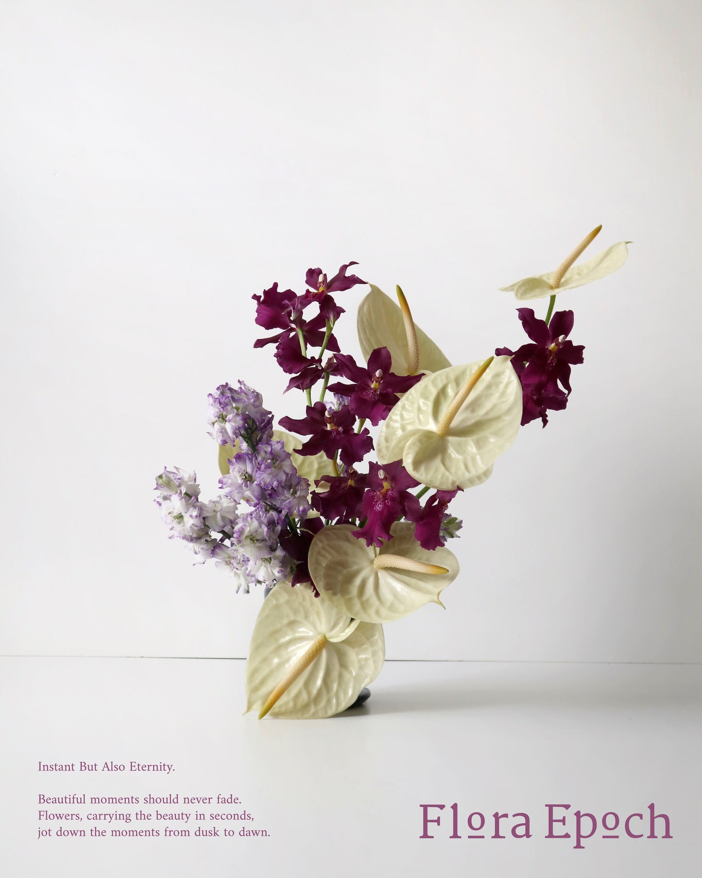 Miltonidium Hwuluduen Kenzie“激情”